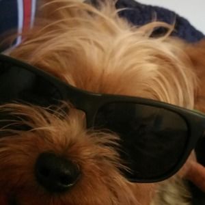 Meet your Posher, Frances